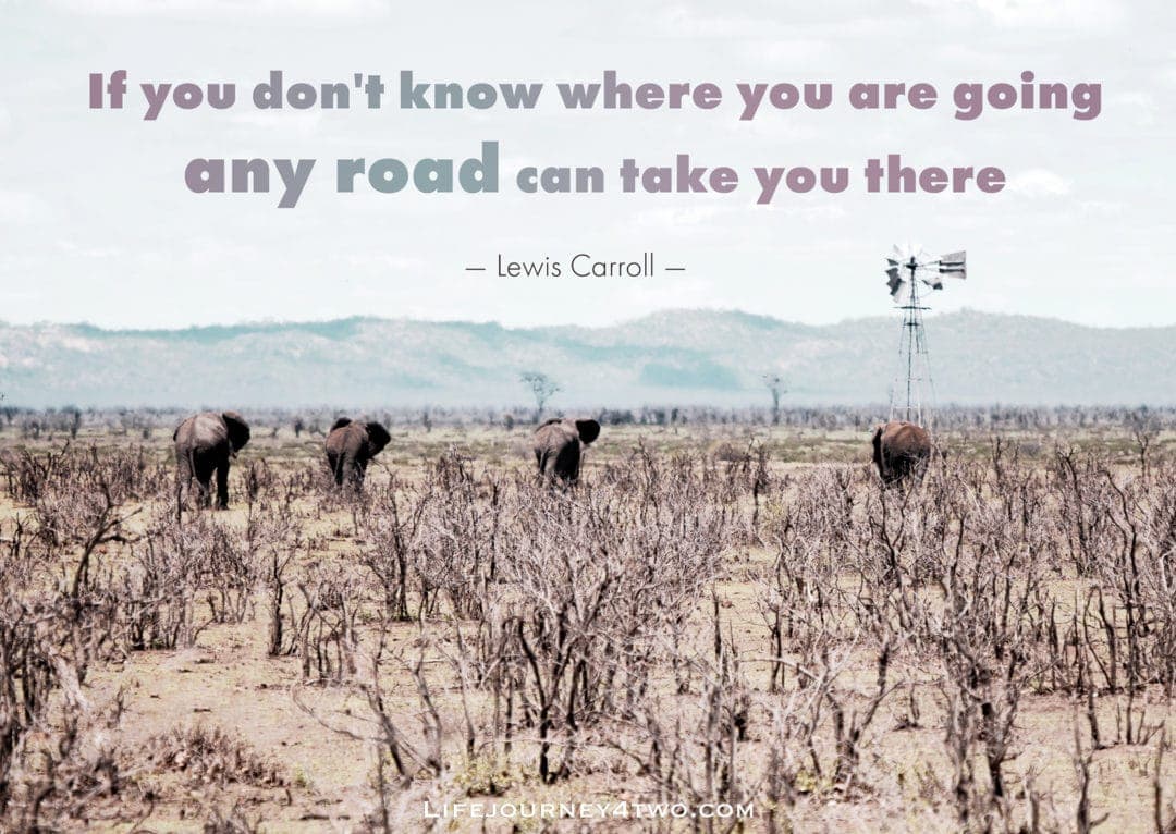 getting lost quote on photo of elephants on dry twiggy land
