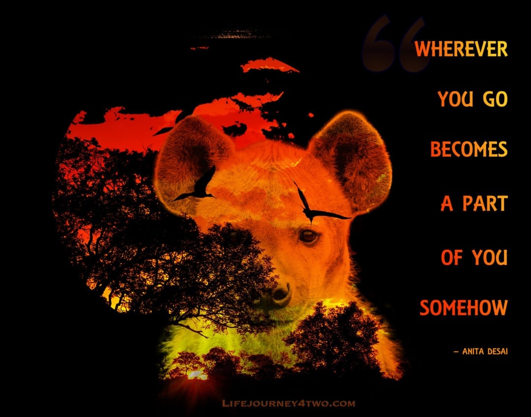 travel quote on red and yellow hyena and sun