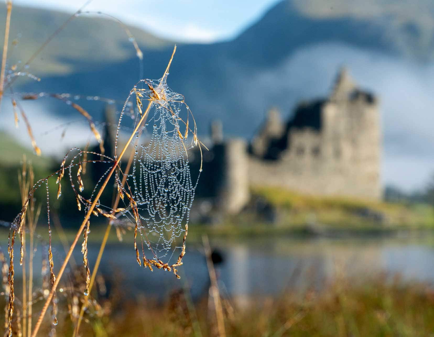 Dew-on-spider-web-with-Kilchurn-Castle-Scotland in the background slightly blurry