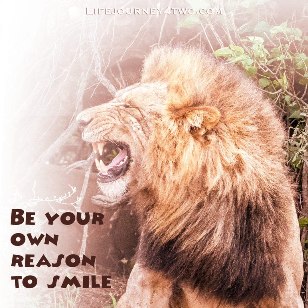 be your own reason to smile caption on a photo of a lion yawning