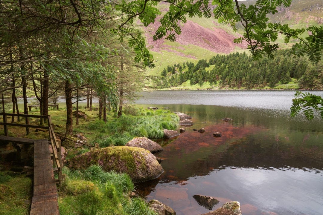 Forest walkway has views to a lake with mountainous slopes and a green forest in the background