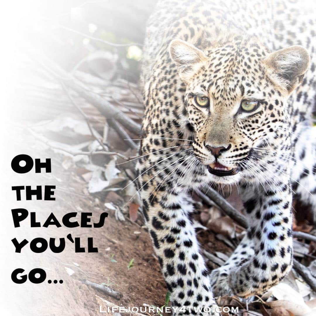 the places you'll go quote on a leopard photo