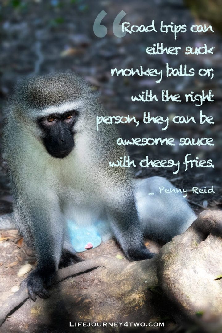 Quote and monkey with blue balls