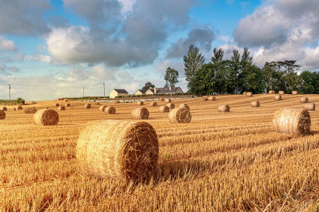 Ireland Landscape Photography: Straw bales on a straw field shining golden bright from the sun
