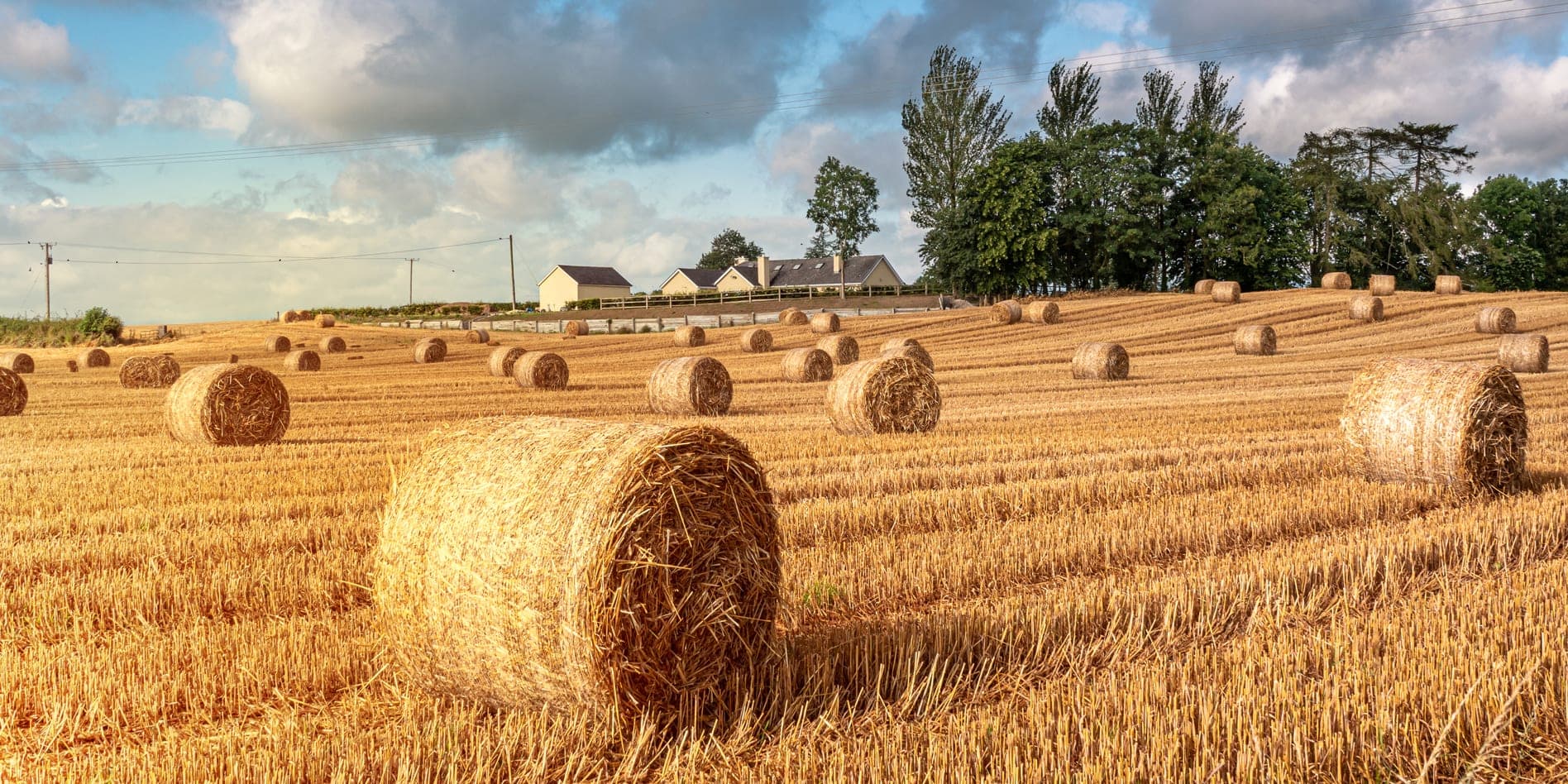 ireland landscape