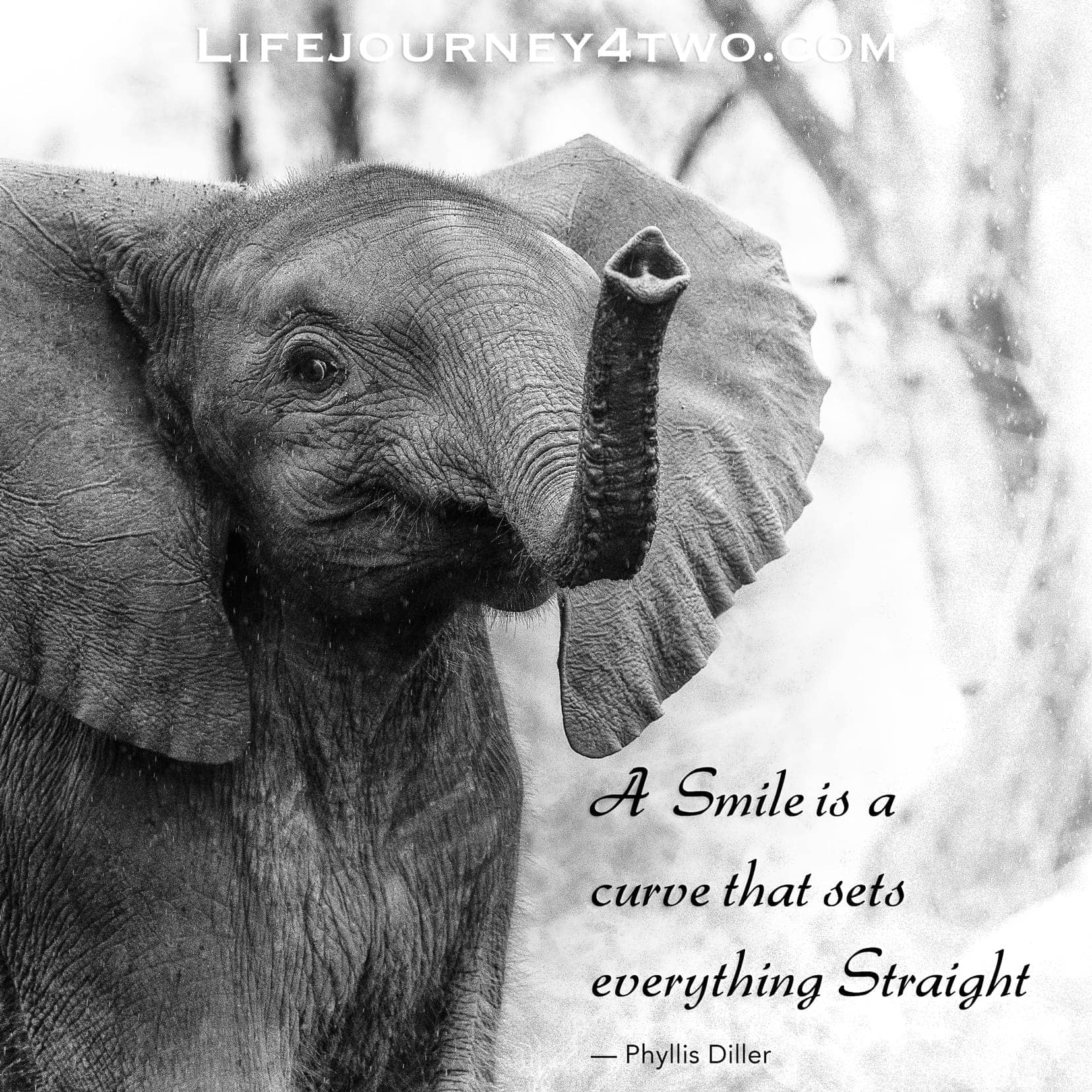 smiling caption on a baby elephant