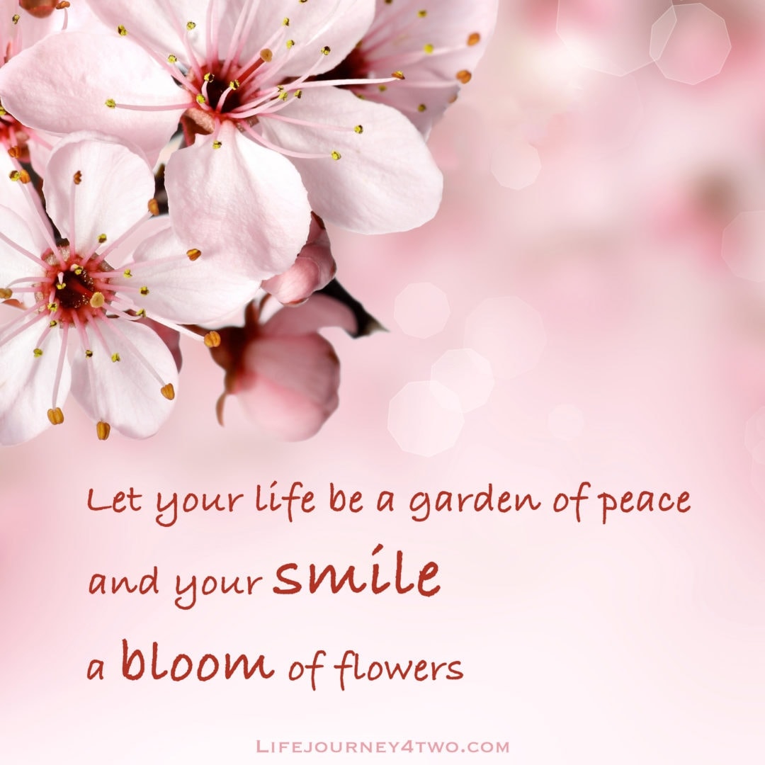 Smiling quote on flowery background