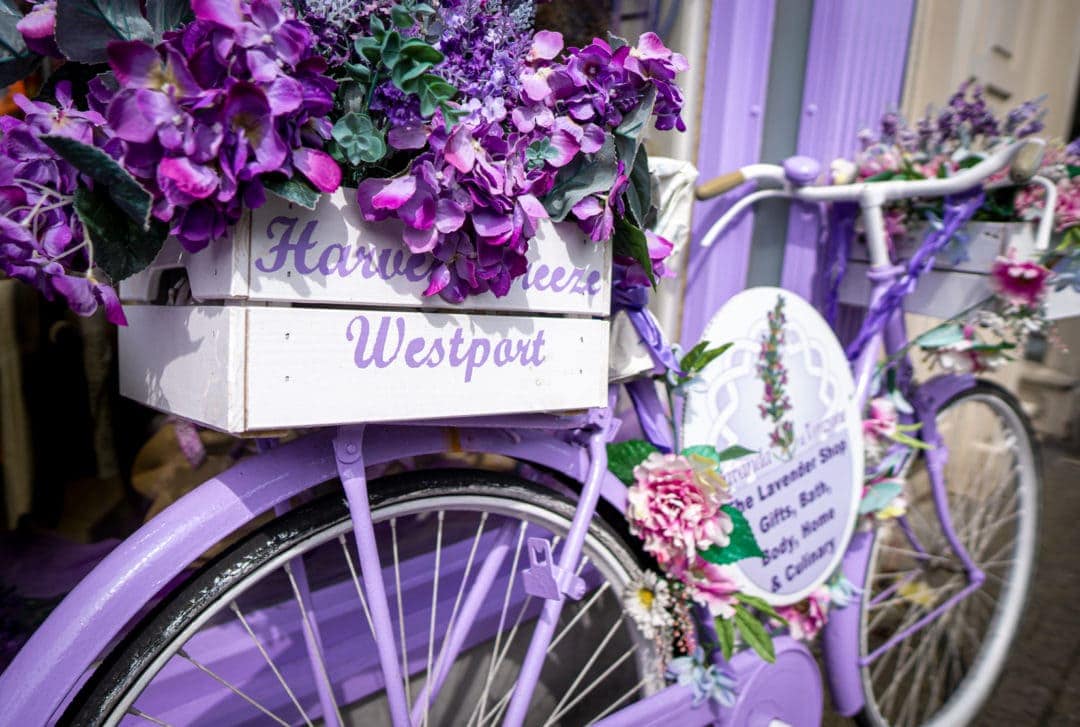 Ireland Landscape Photography: Purple bike with pink and purple in a wooden box behind the seat leans against a shop window