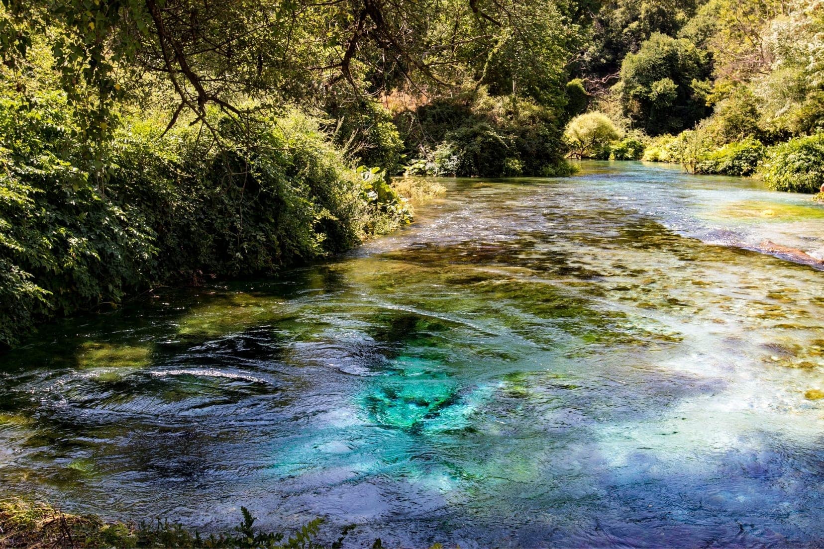 Blue water pool surrounded by green plants