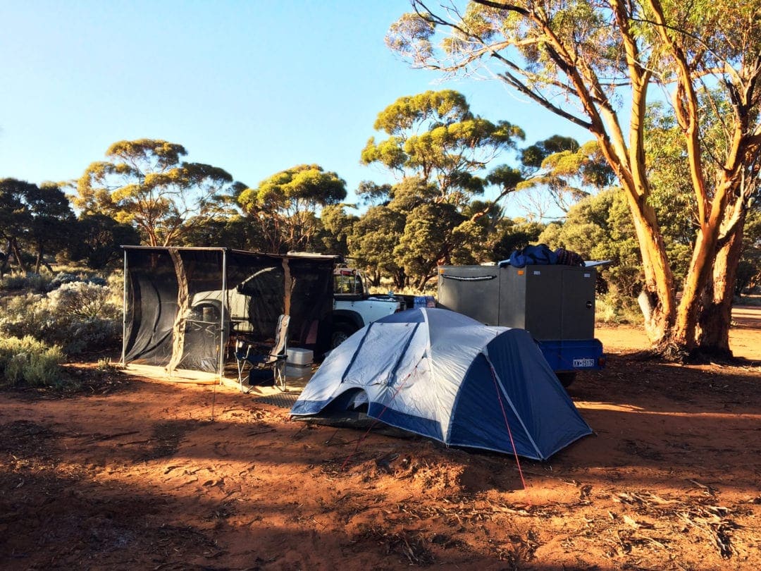 road trip camping - tent car in amongst gum trees