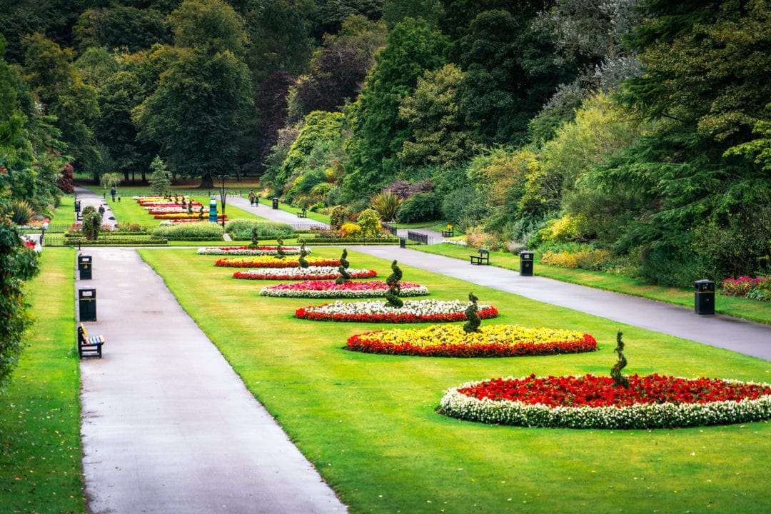 row of circular flower beds on a long strip of green grass with a pathway either side 
