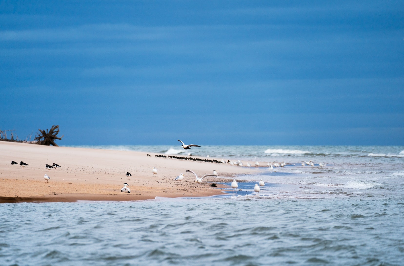 Newburgh-Beach-Sand-bank