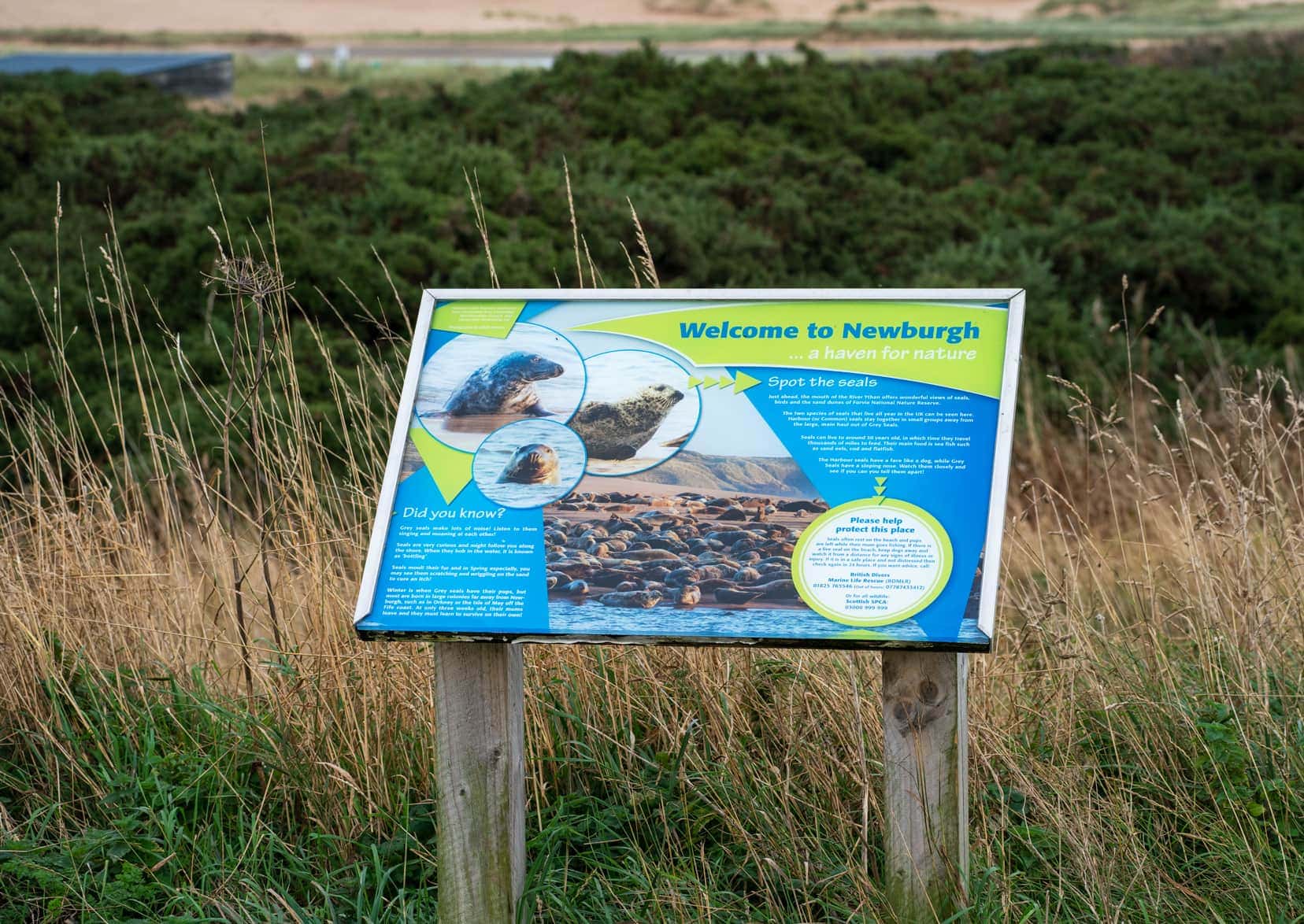 Newburgh Beach Seal sign
