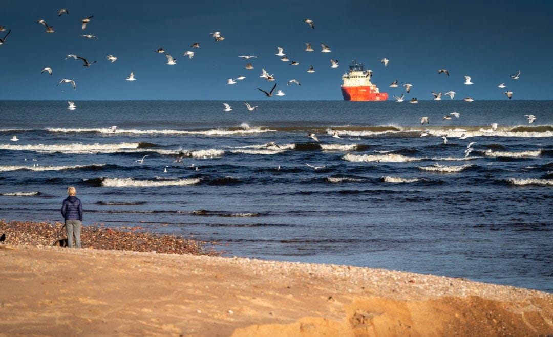 view of the ocean with lots of seagulls in the air and a oange and white ship at sea