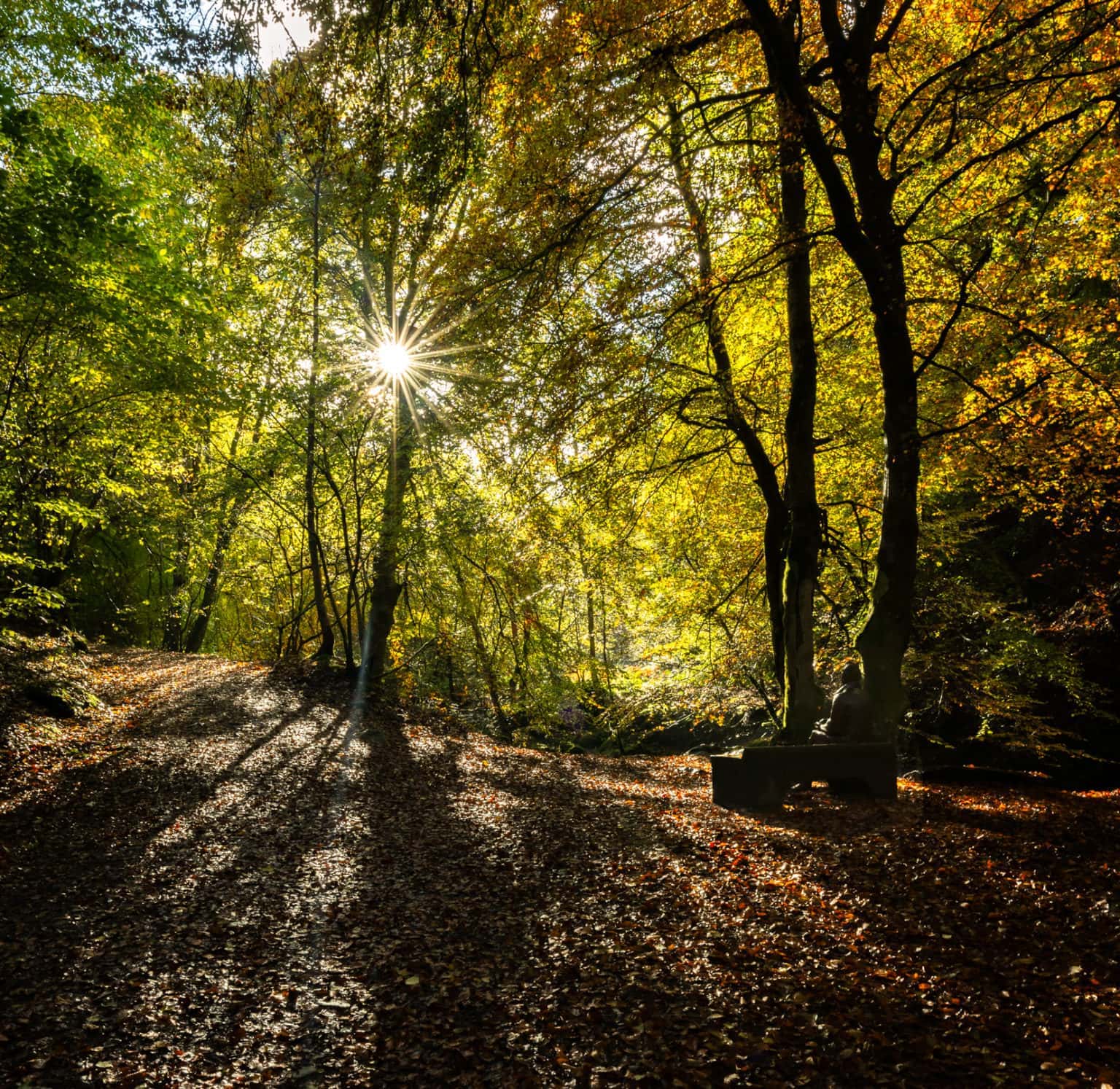 Birks of Aberfeldy & Its Bewitching Autumnal Blaze