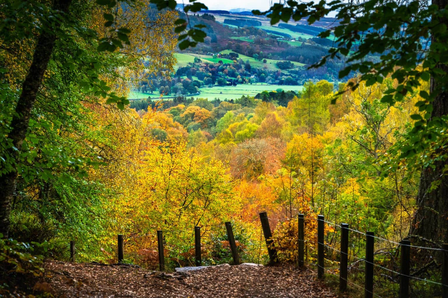 Birks of Aberfeldy & Its Bewitching Autumnal Blaze