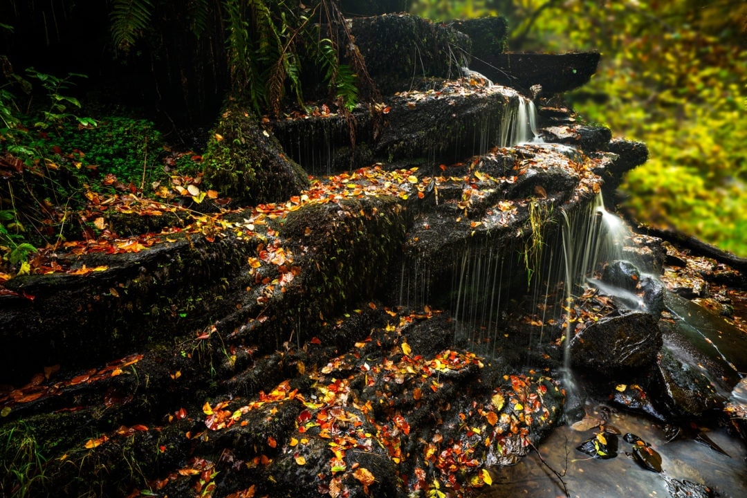 waterfall over black roacks with leaves resting on rocks 