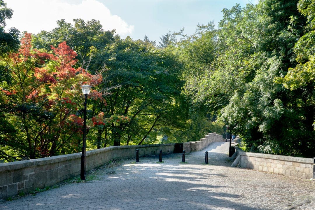 top-of-Bridge-of-Balgownie showing cobbled path, autumn tress and black bollards