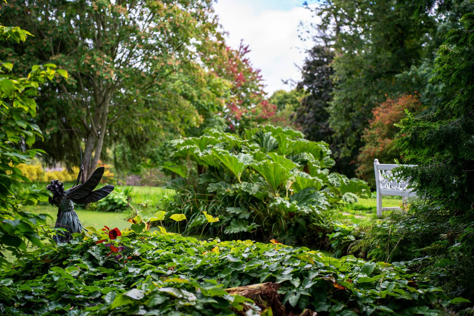 Castle-Drum-Pond-area in September