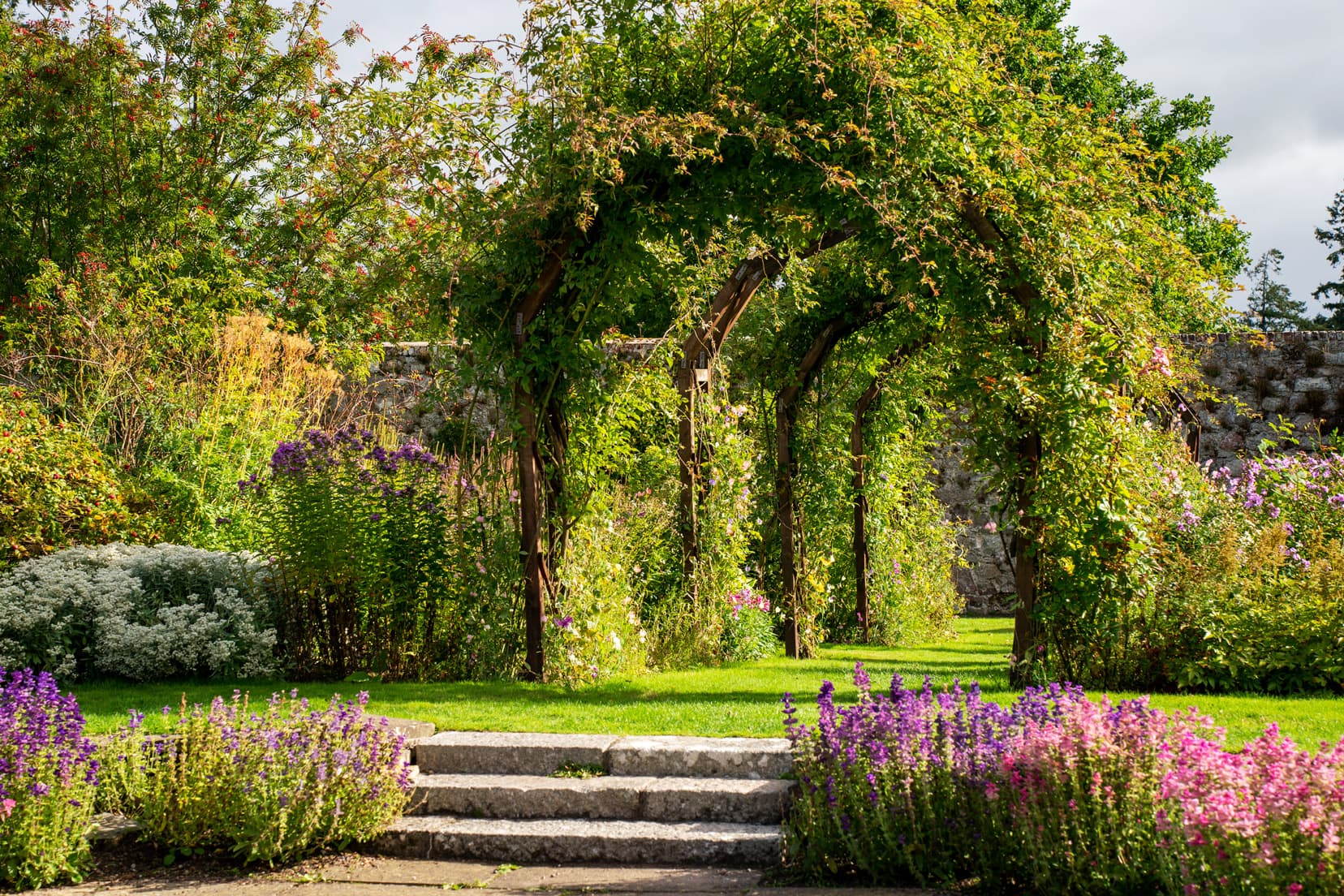 Castle-Drum walled rose garden with a flowering archway