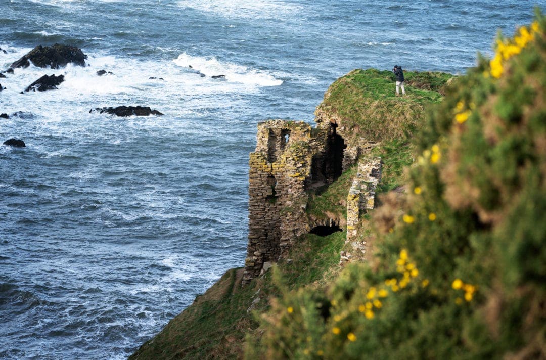 Findlater Castle ruins with a forefront of yellow gorse