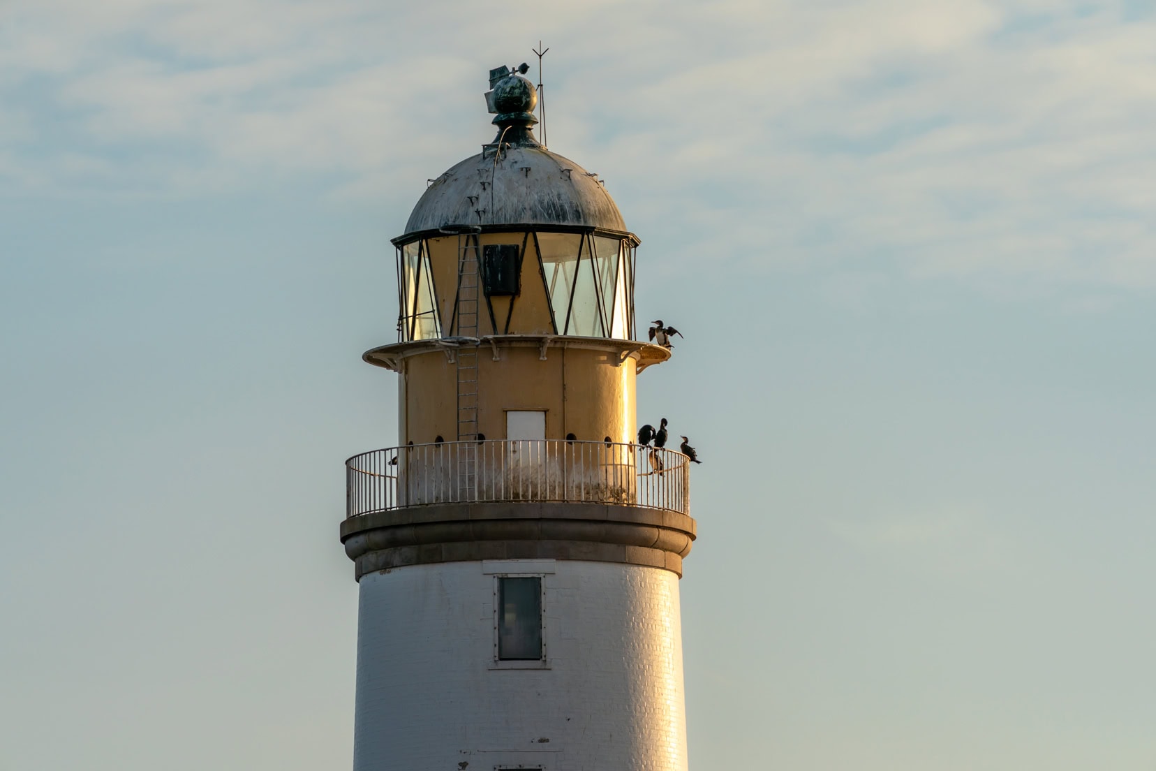 Rattray-Head-Lighthouse-top with birds sitting on it