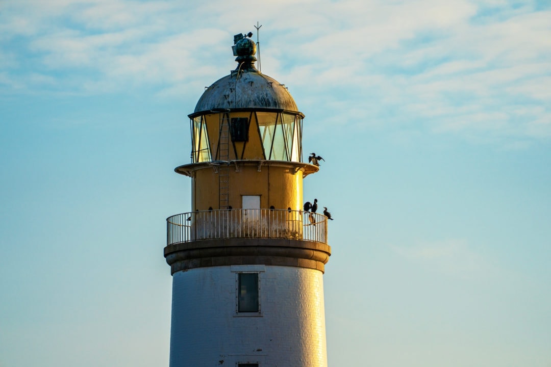 Birds sitting on the railings at the top part of the rattray Head Lighthouse