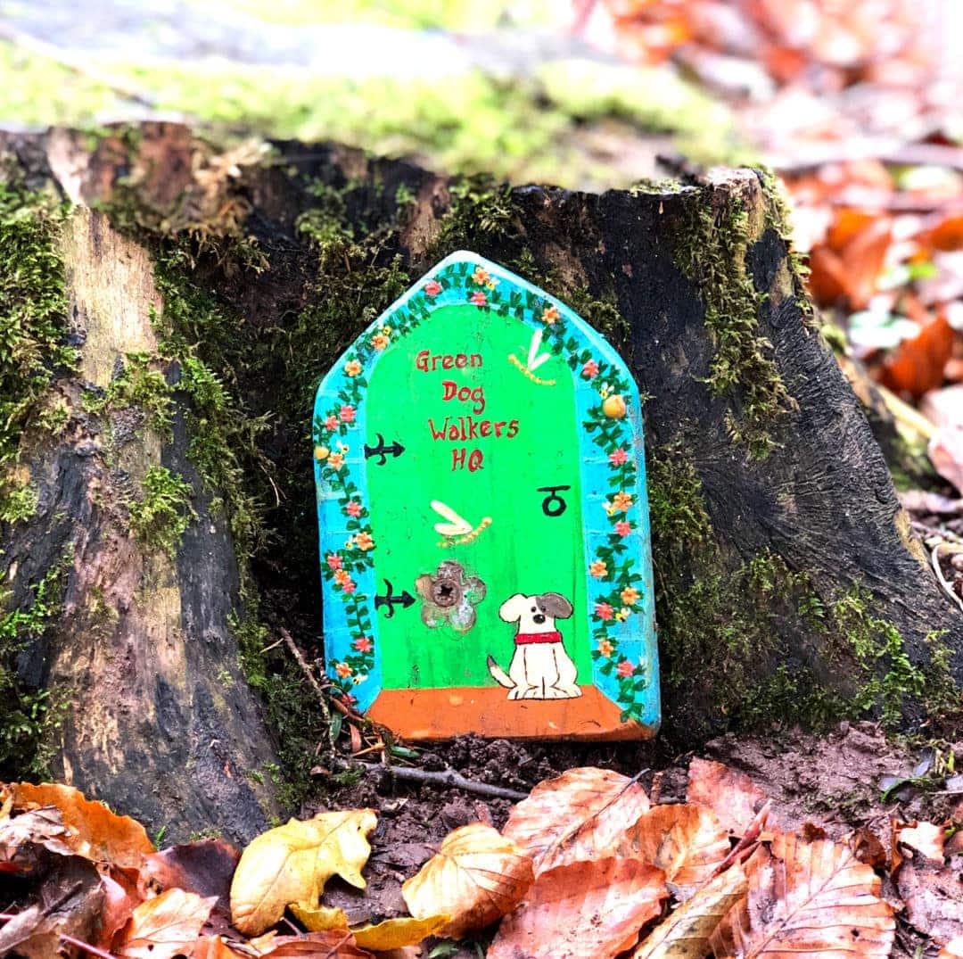 Green patterned small pice of wood shaped like a fairy door attached to a log at Dunnottar wood 