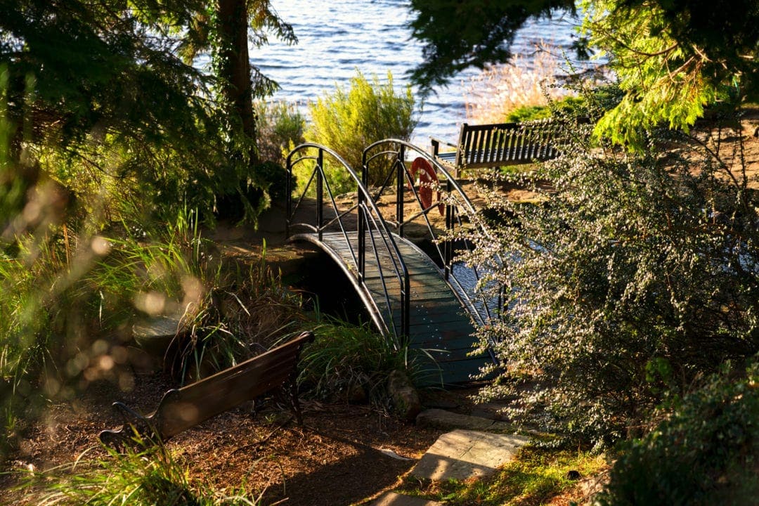 Garden with a wooden arch bridge 