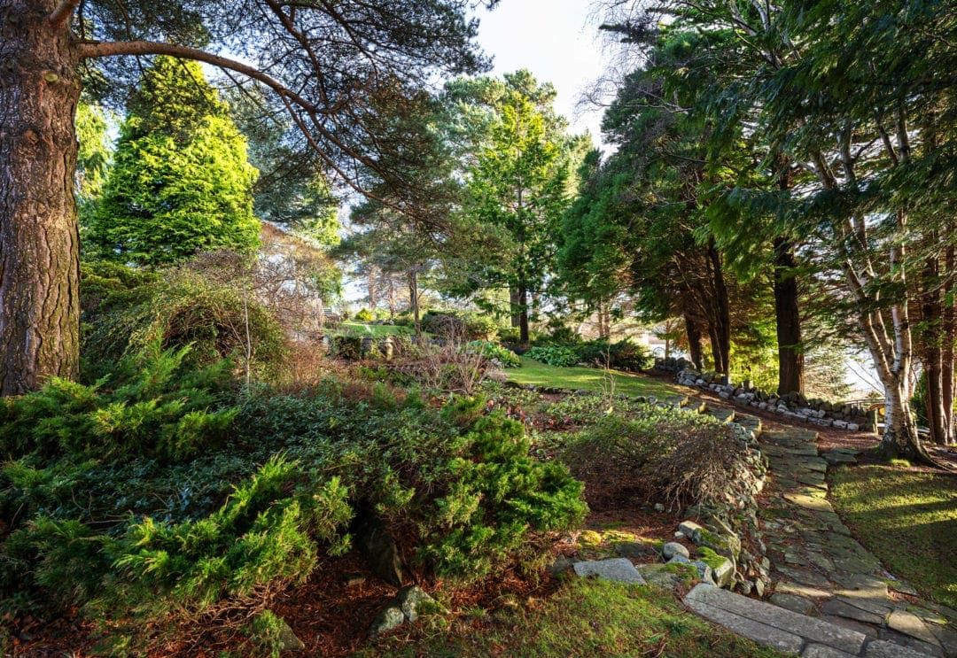 Trees and plants of Dr Neils Garden in Duddingston