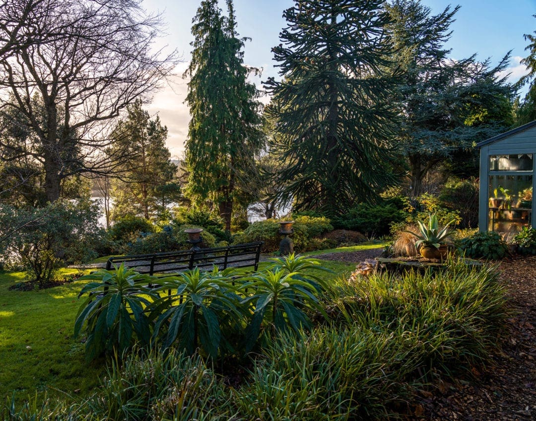 Dr-Neils Garden in Duddingston green conifers 