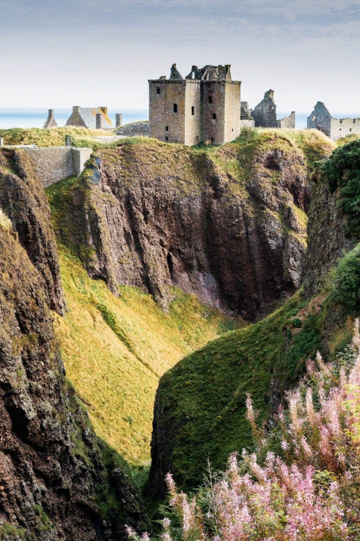 Dunnottar-Castle-and-wildflowers-in-front