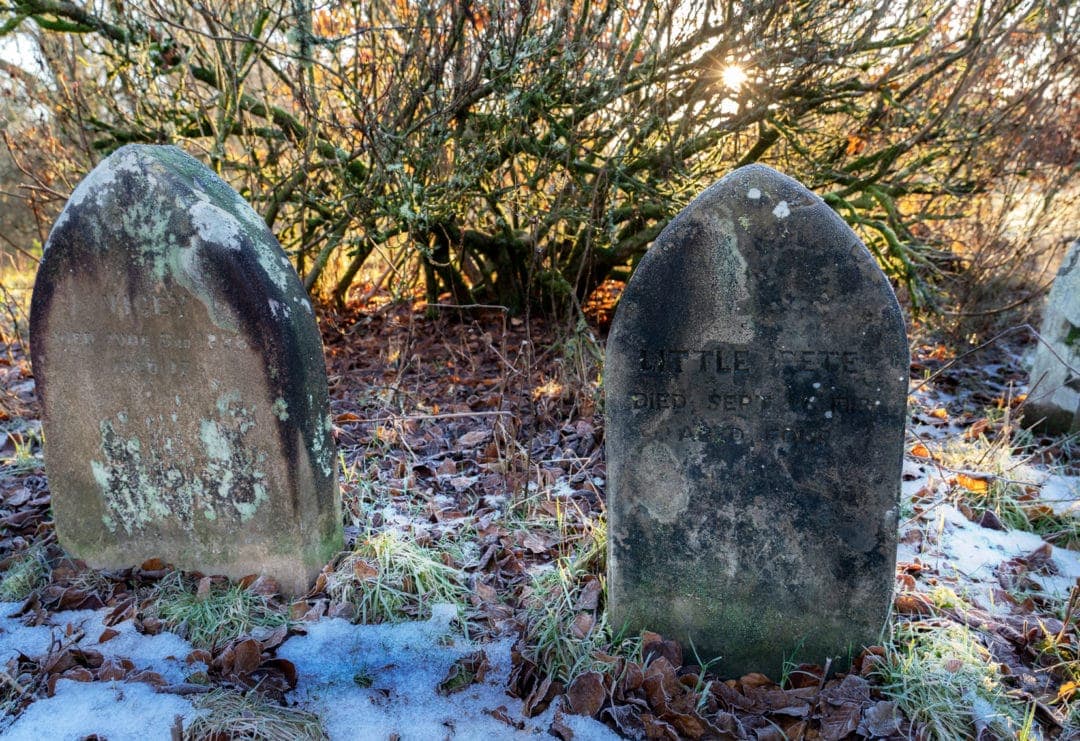 Two dog gravestones 