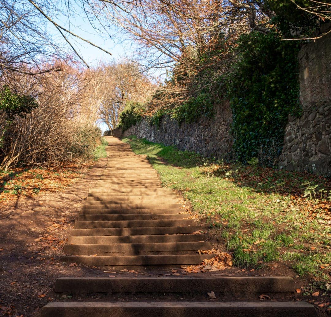 Steps leading down from Queens drive to Duddingston