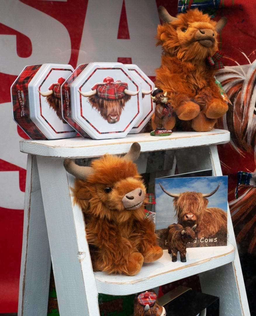 Tartan-Highland-coos in a shop window on the royal mile 