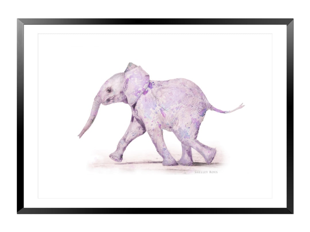 Baby Elephant with purple pink fainy art splodges 