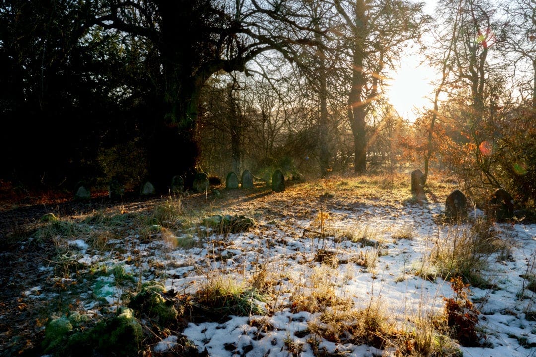 Dog cemetery in Brahan Dell with sun streaming through the trees