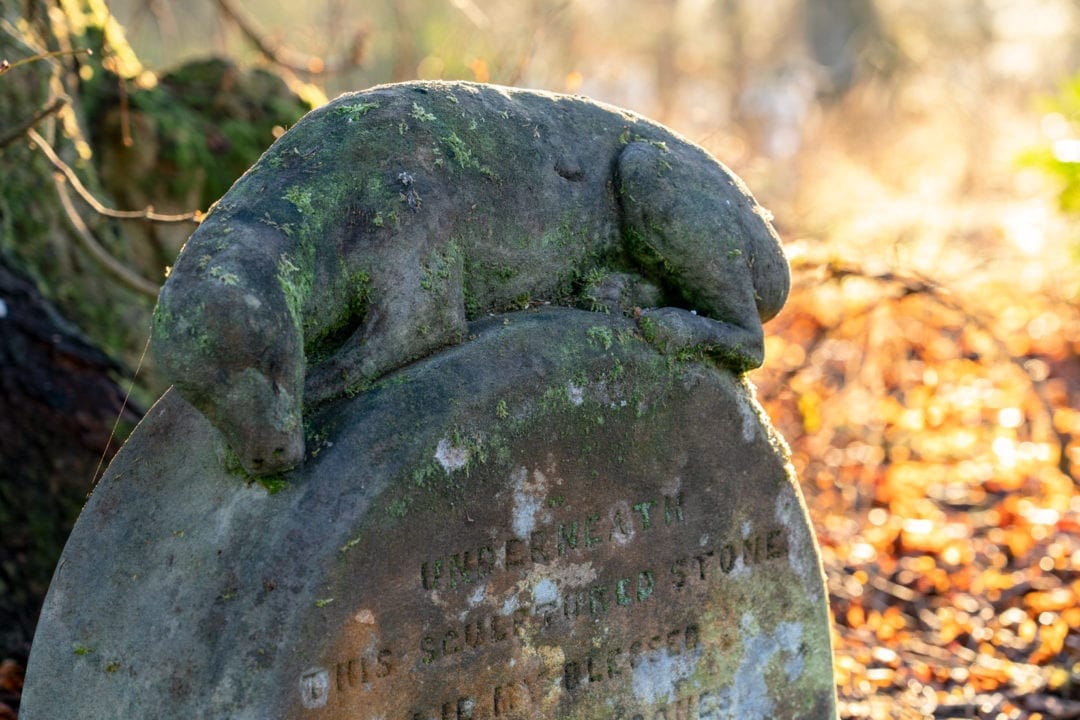 Gravestone with a concrete stone sculpture of dog laying across the top