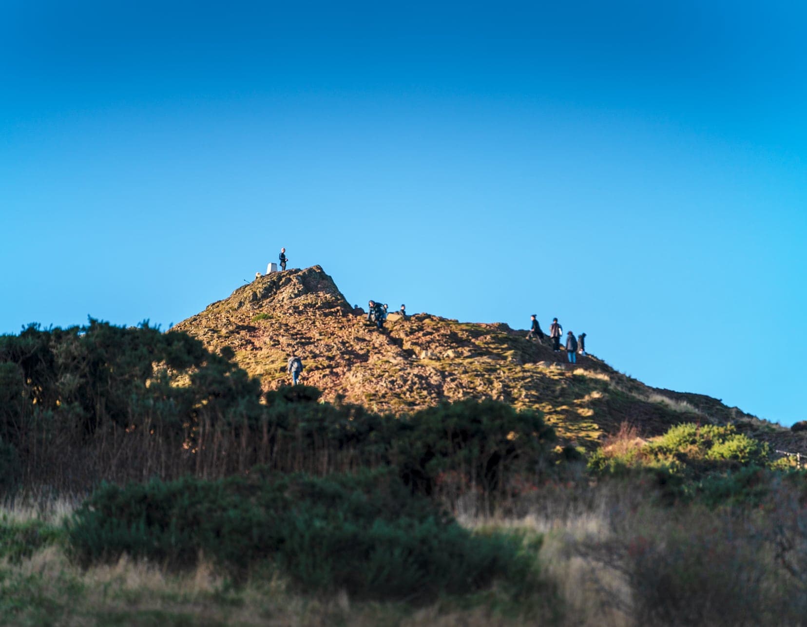 Showing the peak of Arthurs seat with some scraggly trees and long grasses