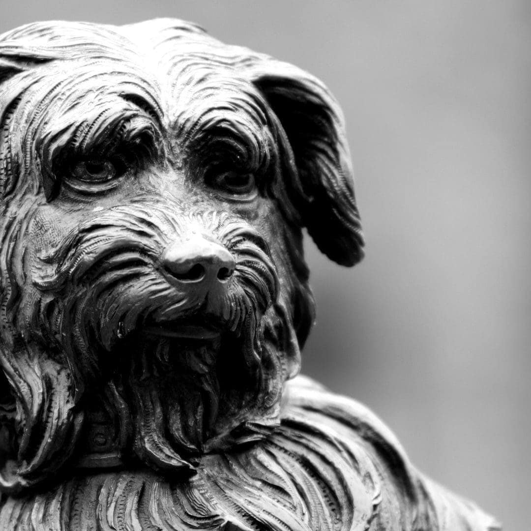 Greyfriars Bobby