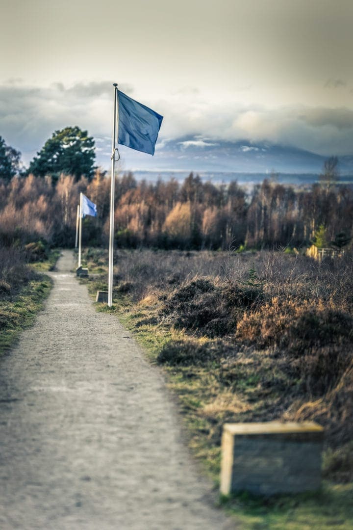 Jacobite-Battle-line-at-Culloden