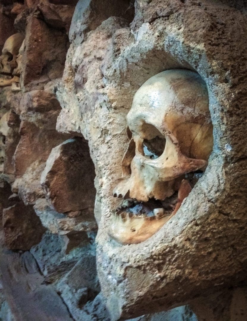 close-up-of-skull-at-Nis