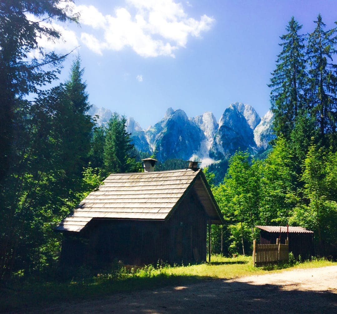 Wooden forest hut with pine trees and mountain backdrop