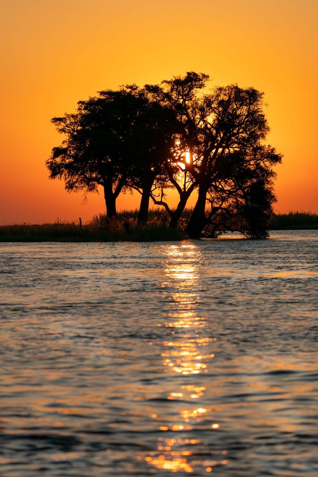 Sunset-on-chobe-river-Botswana