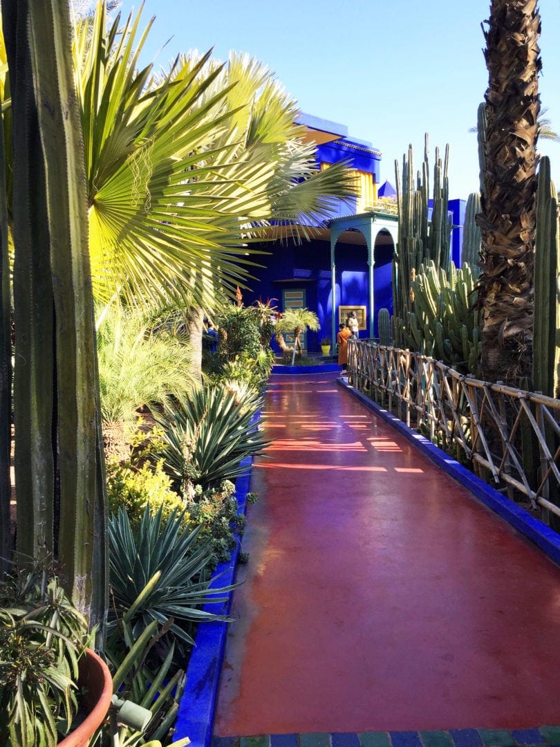 Majorelle-Gardens tiled path with green plants lining it either side