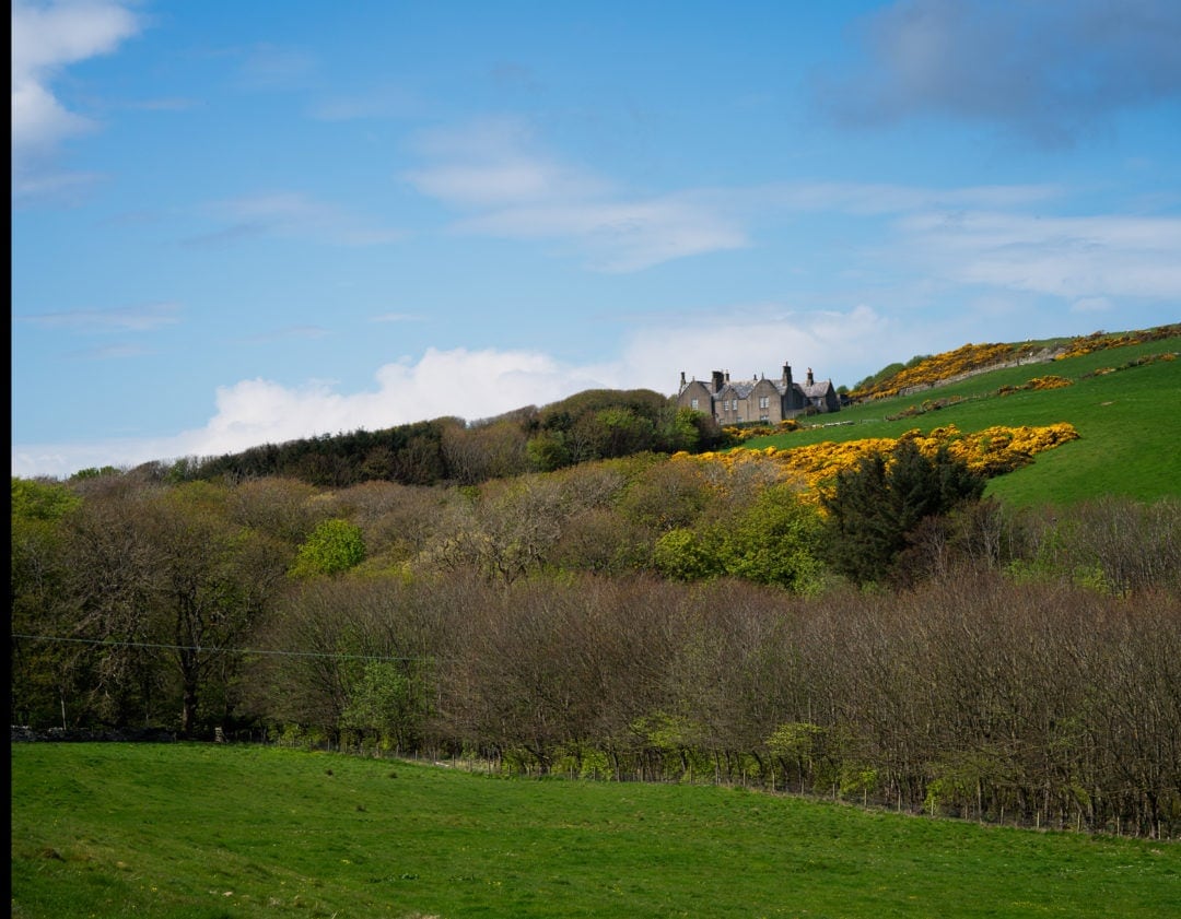 House on a hill with trees in foreground and yellow gorse in midground