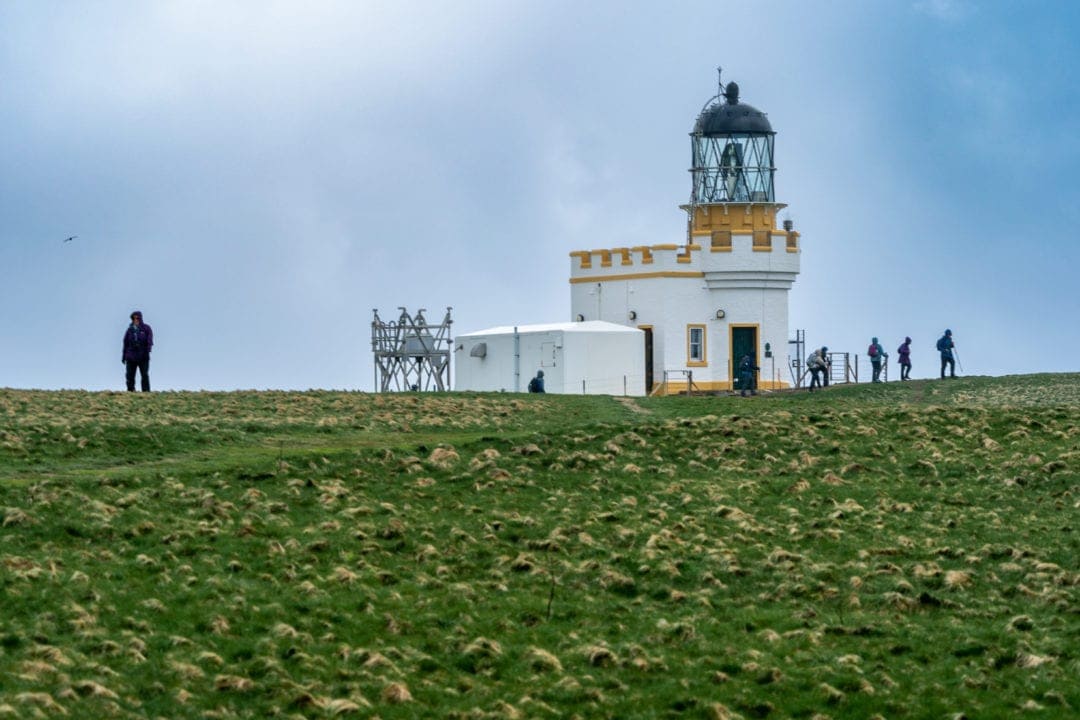 white and yellow lighthouse on top of hill