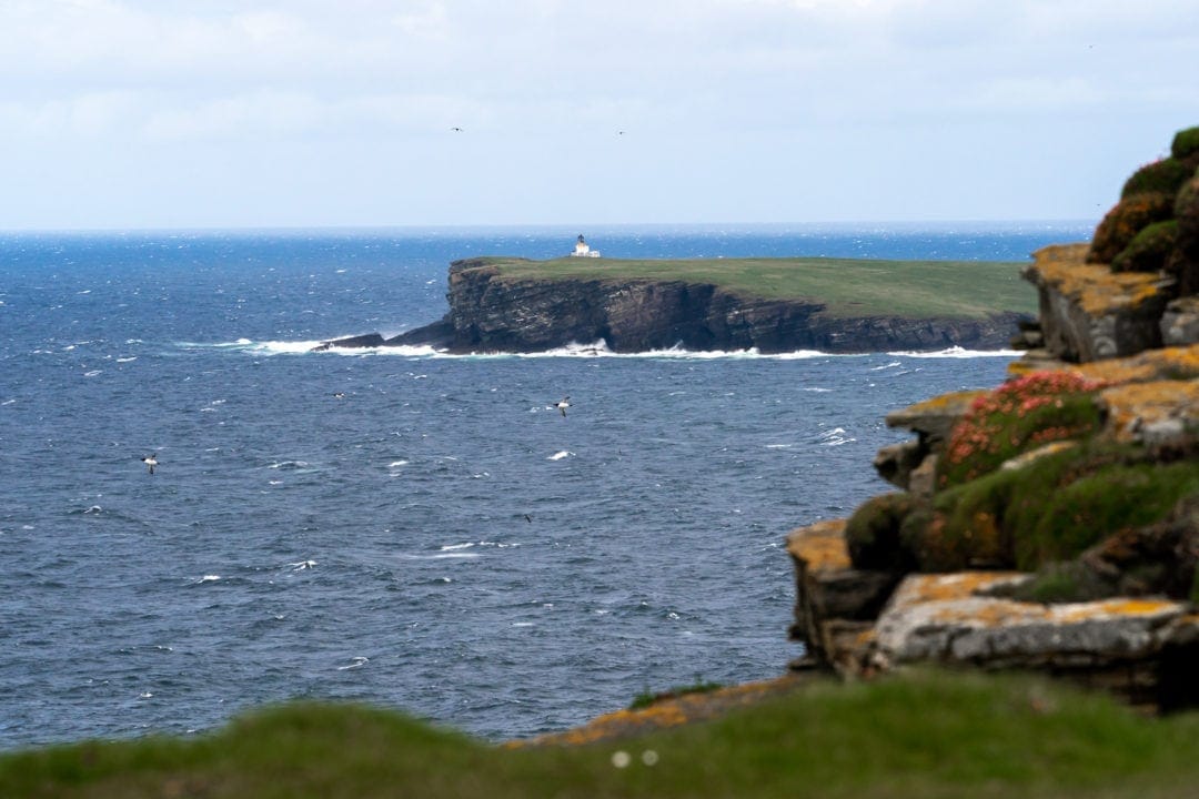 Brough-of-Birsay-seen-from-Marwick-Head - a small island with a lighthouse at its highest point