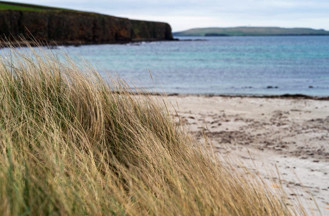 Dingieshowe sandy beach with lon grasses in foreground