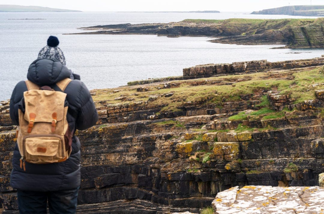 Halls-Head-Coastal-Walk with shelley looking out to sea and coastline